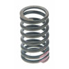 Valve Spring - image 1
