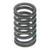 Valve Spring - image 1