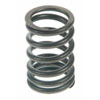 Valve Spring - image 1