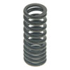 Valve Spring - image 1
