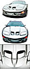 Hood Only 1998-02 Firebird Ram-Air H.O. - image 1