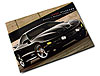Owners Supplement Manual 2002 Firehawk - image 1
