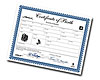 Birth Certificate 1993-02 Firehawk - image 1