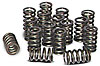 Valve Springs LS1 High-Performance (set of 16) - image 1