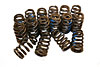 Valve Springs LS1/LS6/LS2 High-Performance .600 Lift set of 16 - image 1