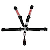 2 5-POINT HARNESS BOLTIN" - image 1
