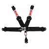 3 5-POINT HARNESS BOLTIN" - image 1