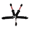 3 5-POINT HARNESS CLIPIN" - image 1
