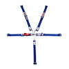 QUARTER MIDGET 5 PT SET BLUE - image 1