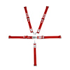 Latch & Link 5-Point 1/4 Midget Harness Pull-Down Lap - image 1