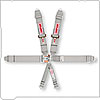 NASCAR 6WAY L/FX B/I PULL DOWN POLY - image 1