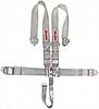 Latch F/X System 5-Point Individual Harness 62" Lap Belt Pull-Down Lap Belt Adjusters - image 1