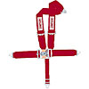 Latch F/X System 5-Point V-Type Harness 62" Lap Belt - image 1