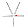 5 POINT L&L 55" PLATINUM - image 1