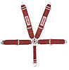 Lever Camlock 5-Point Individual Harness 62" Lap Belt Pull-Up Lap Belt Adjusters - image 1