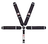 Sport Camlock 5-Point Harness - image 1