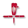 Apparel & Safety CAMLOCK Y-TYPE HARNESS - image 1