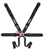 Lever Camlock 6-Point Individual Harness 55" Lap Belt Black Hardware - image 1