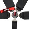 Lever Camlock 6-Point Individual Harness 55" Lap Belt Black Hardware - image 2
