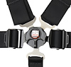 Lever Camlock 7-Point Individual Harness 55" Lap Belt Black Hardware - image 1