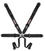 Rotary Camlock 6-Point Individual Harness 55" Lap Belt Black Hardware - image 1