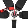 Lever Camlock 5-Point Individual Harness 55" Lap Belt Black Hardware - image 2
