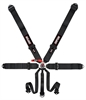 Lever Camlock 7-Point Individual Harness 55" Lap Belt Black Hardware - image 1