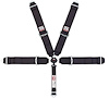 Rotary Camlock 5-Point Individual Harness 55" Lap Belt Black Hardware - image 1