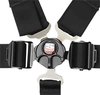 Rotary Camlock 5-Point Individual Harness 55" Lap Belt Black Hardware - image 2