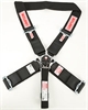 Rotary Camlock 5-Point Dragster Harness Nomex Covered Belts - image 1