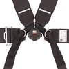 Rotary Camlock 6-Point Individual Harness 62" Lap Belt - image 2