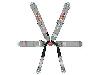 Rotary Camlock 6-Point Individual Harness 62" Lap Belt - image 1