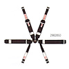 Rotary Camlock 6-Point Individual Harness - image 1