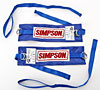 Arm Restraints Individual Straps - image 4