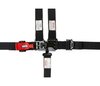 3B22PIKX D3 Off-Road 5-Point Safety Harness 2 in. Padded Straps [Black] - image 2