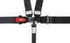3B33PIKX D3 Off-Road 5-Point Safety Harness 3 in. Padded Straps [Black] - image 2