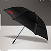 THE EVENT UMBRELLA - image 1