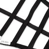 DNC5RRK DNC5RRK Driver Net Corvette Right Driver Net - Fits Corvette - SFI Rated - image 2