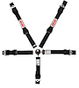 SB1015 Jr Dragster Racing Platinum Plus 5-Point Harnesses Camlock - Junior Dragster - Platinum Plus - image 1