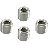 NPT Plugs Chrome - image 1