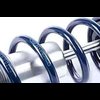 Single Adjustable Shock & Spring Kit Rear Includes: - image 2