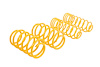 28230195 ST Lowering Springs for Ford Focus RS - image 1