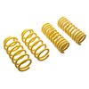 65504 ST Lowering Springs for 04-10 Chrysler 300C 2WD/06-10 Dodge Charger 05-08 Magnum - image 3