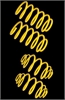 Suspension Techniques H/D SPRINGS REAR CAMARO - image 1