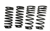 Rear Sport Springs 1973-77 Monte Carlo, Malibu, Regal, Laguna, Tempest & Le Mans - image 1