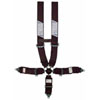SFI Kam-Lock Driver Restraint System - image 1