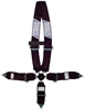 Seat Belt Fireproofing - image 1