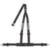 BELT 2 IN BK 3PT DBL REL - image 1