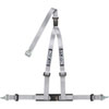BELT 2 IN SLV 3PT DBL REL - image 1