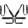 BELT 6PT PULL DOWN HANS B - image 1